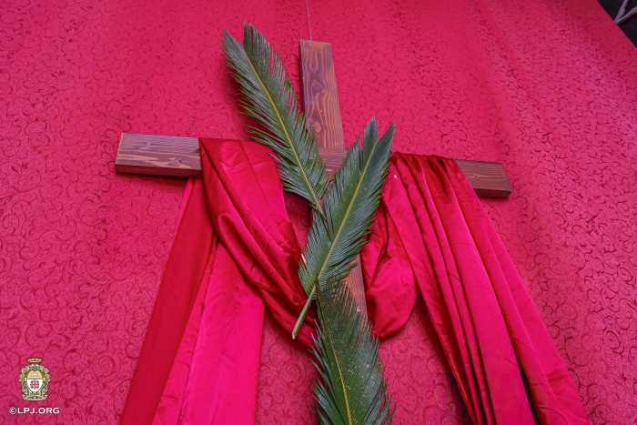 棕枝主日布置。(翻攝自FB@Latin Patriarchate of Jerusalem)